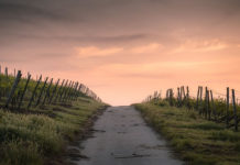 그저 길을 따라 가다 보니