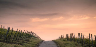 그저 길을 따라 가다 보니