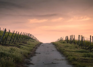 그저 길을 따라 가다 보니