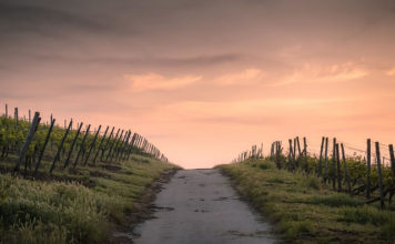 그저 길을 따라 가다 보니