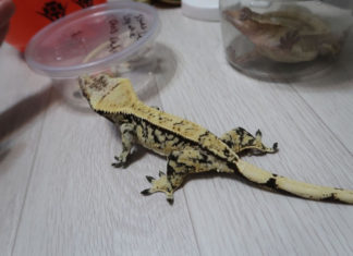 뉴질랜드에서 새롭게 시작해