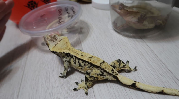 뉴질랜드에서 새롭게 시작해