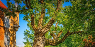 그곳에 있어 주어 고맙습니다