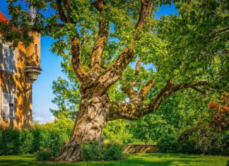 그곳에 있어 주어 고맙습니다