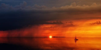 타즈마니아 연가