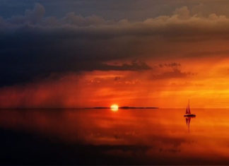 타즈마니아 연가