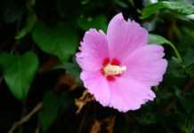 2월 셋째 주 찬송/2월 넷째 주 찬송