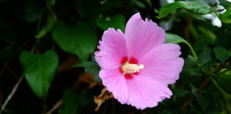 2월 셋째 주 찬송/2월 넷째 주 찬송