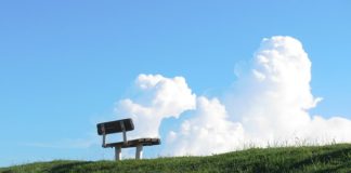 못난 맛에 사는 인생