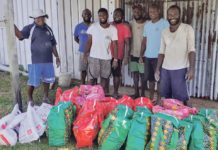 남태평양 바누아투에서 날아온 비보