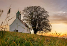 빛으로 빛되는 교회