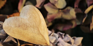 만족하는 삶은 어디에서 오는가