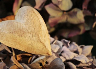 만족하는 삶은 어디에서 오는가