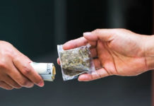 2020 마리화나 합법화 반대 위한 설명