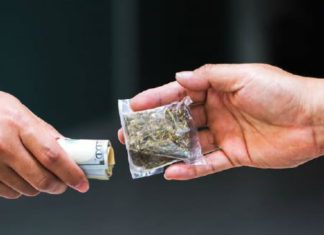 2020 마리화나 합법화 반대 위한 설명