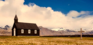 몸을 이루어 자라갑니다