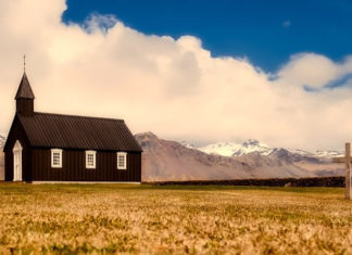 몸을 이루어 자라갑니다