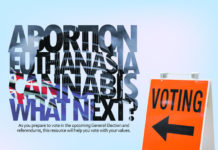 2020 뉴질랜드 이슈에 관한 국민 투표 설명