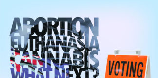 2020 뉴질랜드 이슈에 관한 국민 투표 설명