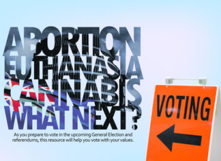 2020 뉴질랜드 이슈에 관한 국민 투표 설명