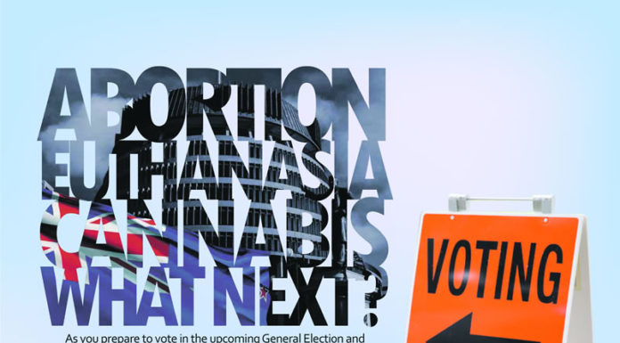 2020 뉴질랜드 이슈에 관한 국민 투표 설명