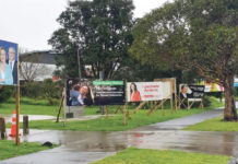 2020 뉴질랜드 총선.국민투표 위한 정당 정책