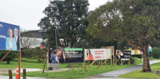 2020 뉴질랜드 총선.국민투표 위한 정당 정책