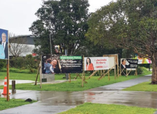 2020 뉴질랜드 총선.국민투표 위한 정당 정책