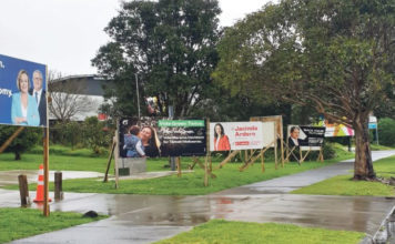 2020 뉴질랜드 총선.국민투표 위한 정당 정책