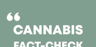 대마초 합법화 및 규제 법안 관련 세미나