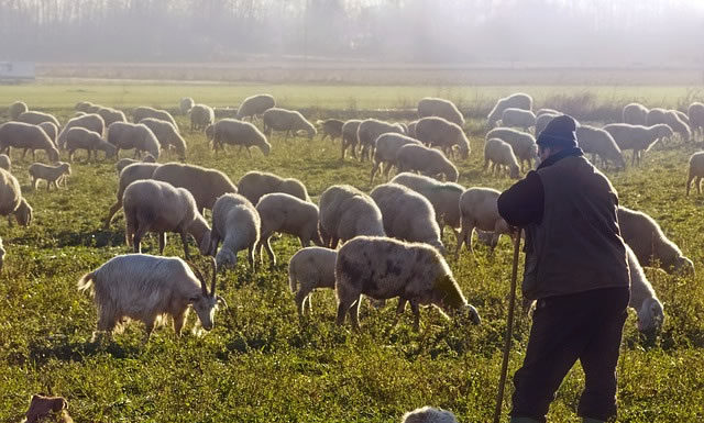 제사장인가? 선지자인가?