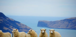 아름다움 속에 거하는 삶