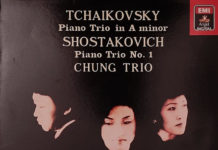 차이콥스키 교향곡 5번