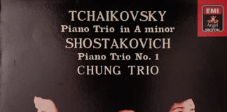 차이콥스키 교향곡 5번