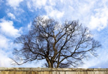 세월 무정 세월 유정