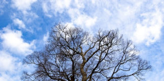 세월 무정 세월 유정