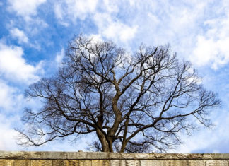 세월 무정 세월 유정