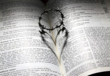 11월 첫째 주 찬송/11월 둘째 주 찬송