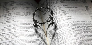 11월 첫째 주 찬송/11월 둘째 주 찬송