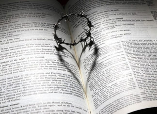 11월 첫째 주 찬송/11월 둘째 주 찬송