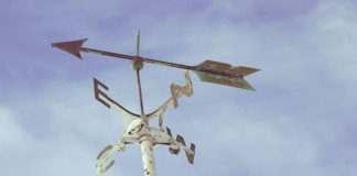 11월 셋째 주 찬송