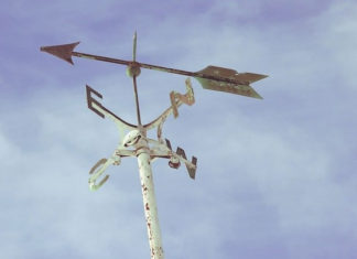 11월 셋째 주 찬송