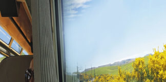 399호 라이프 커버/오클랜드-웰링턴 기차여행