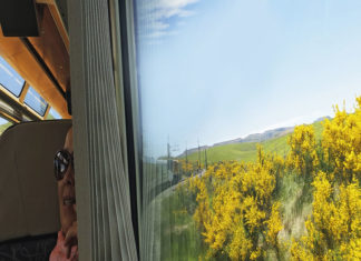 399호 라이프 커버/오클랜드-웰링턴 기차여행