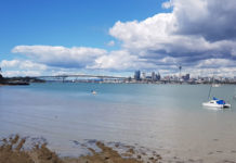 400호 라이프 커버/2020년 뉴질랜드 한인 교계 총정리