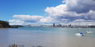 400호 라이프 커버/2020년 뉴질랜드 한인 교계 총정리