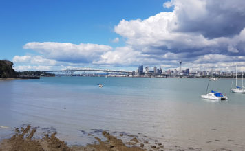 400호 라이프 커버/2020년 뉴질랜드 한인 교계 총정리