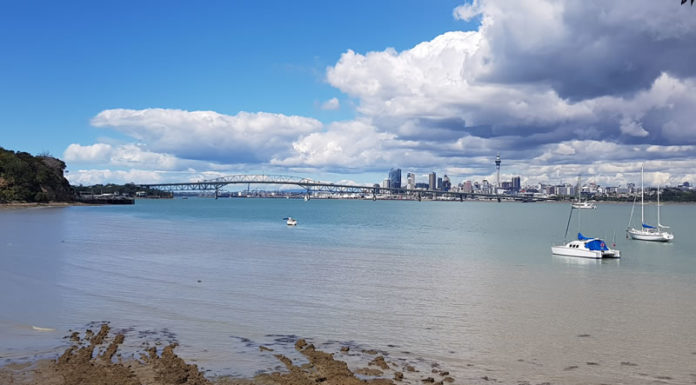 400호 라이프 커버/2020년 뉴질랜드 한인 교계 총정리