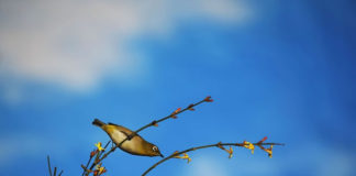 나 다움에 대하여