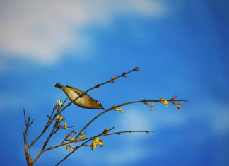 나 다움에 대하여